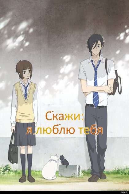 Постер Скажи: я люблю тебя